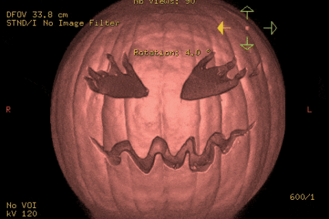 3-d, ct scan, pumpkin, reconstruction