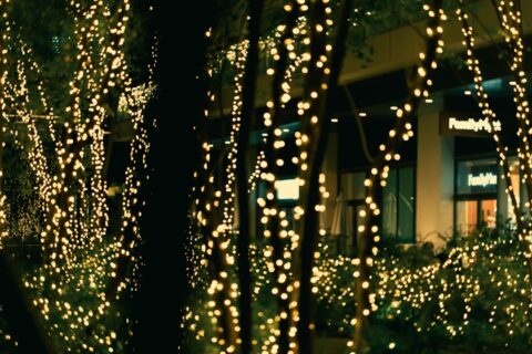 picture of lights on a christmas tree