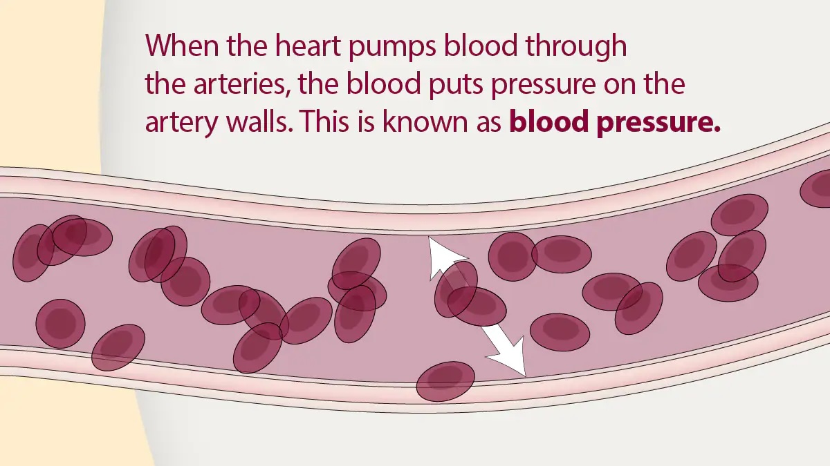 diagram of blood pressure